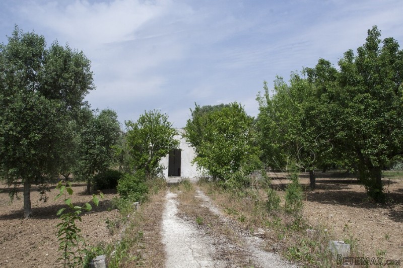 V000198, Casale In Vendita Ad Oria - 2