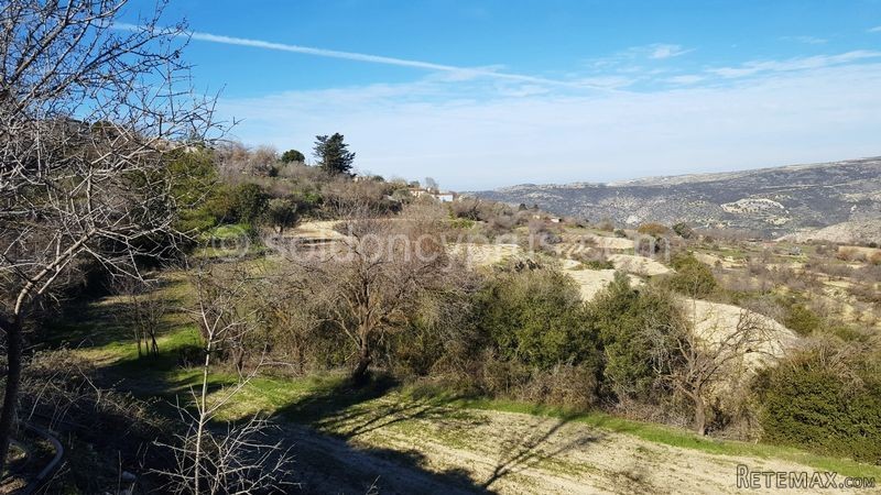 - Land - Paphos - For Sale - 2