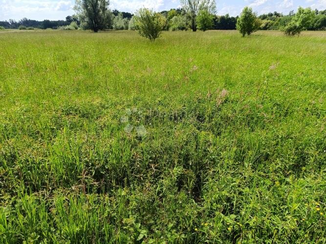 Građevinsko zemljište za kuću s bazenom