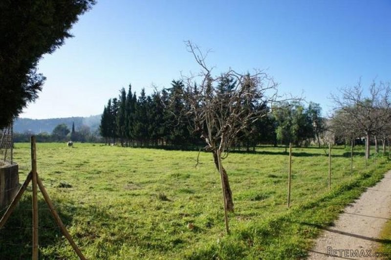 Urban building plot in quiet location