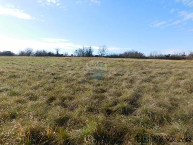 Okolica Brtonigle - Građevinsko zemljište od 5.700m2 - 3