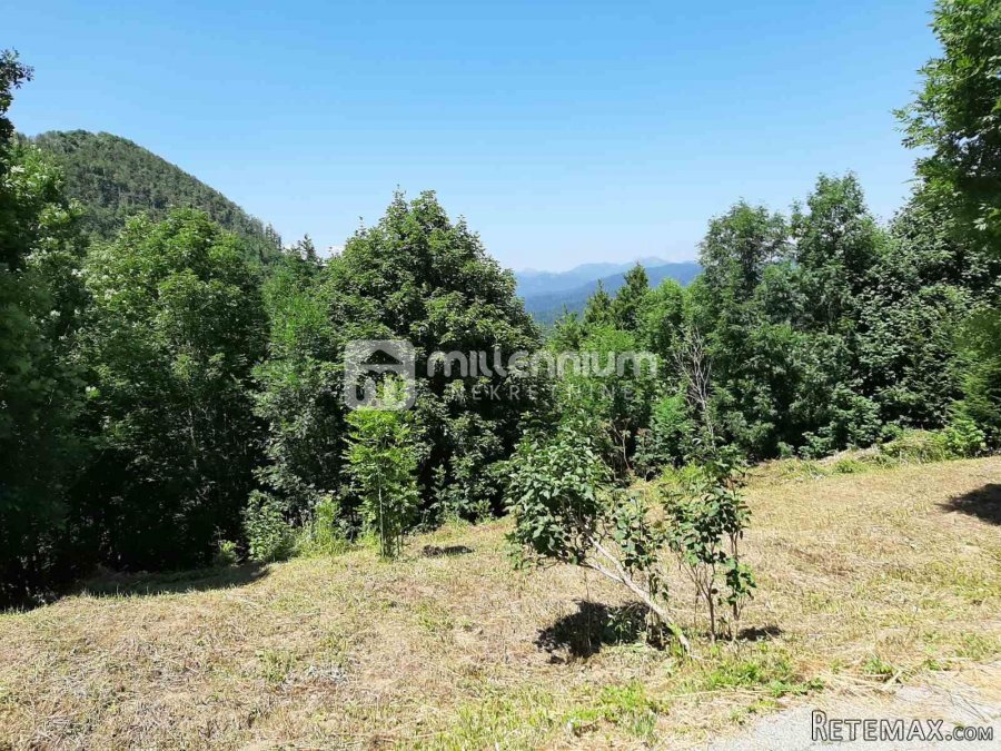 Gorski kotar, Vrbovsko, samostojeća kuća, 150m2 - 5
