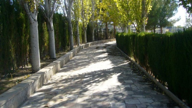 4 Bed Country House In Sax, Alicante - 2