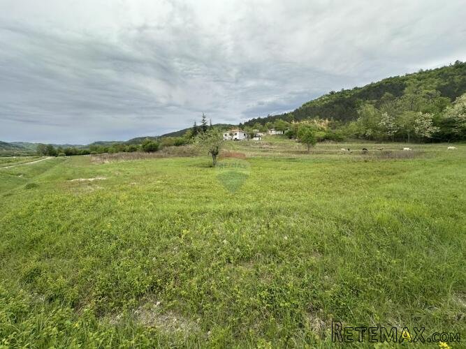 ISTRA, GOLOGORIČKI DOL - Građevinsko zemljište 2618 m2 - 2