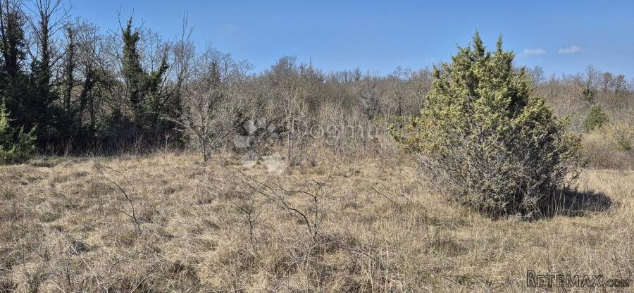 Poljoprivredno zemljište površine 7962 m2 - 2