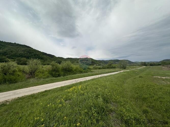 ISTRA, GOLOGORIČKI DOL - Građevinsko zemljište 2618 m2 - 3