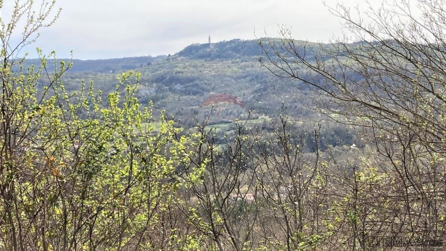 Pićan okolica, kuća s 11000 m2 okućnice - 3