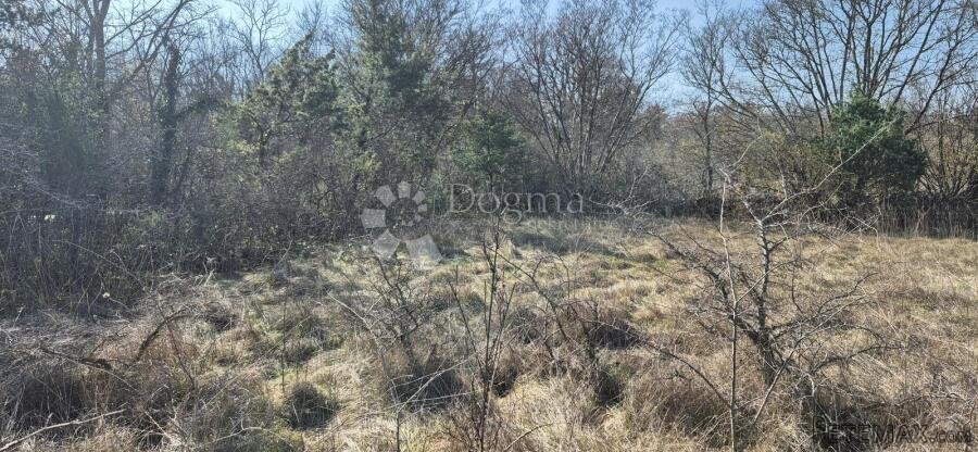 Poljoprivredno zemljište površine 7962 m2 - 3