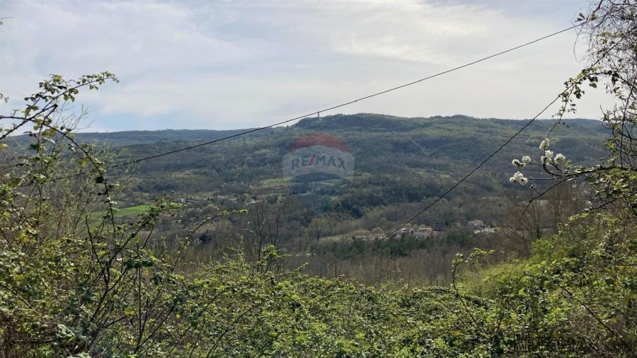 Pićan okolica, kuća s 11000 m2 okućnice - 4