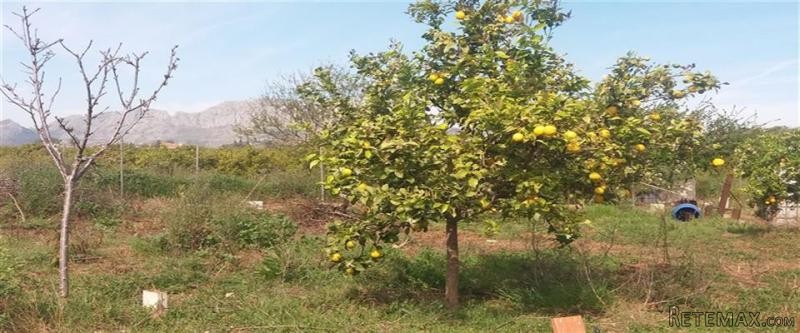 - Property - Alicante - For Sale