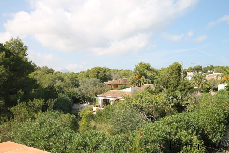 Well priced single level 2 bedroom villa in a tranquil area.. - 4