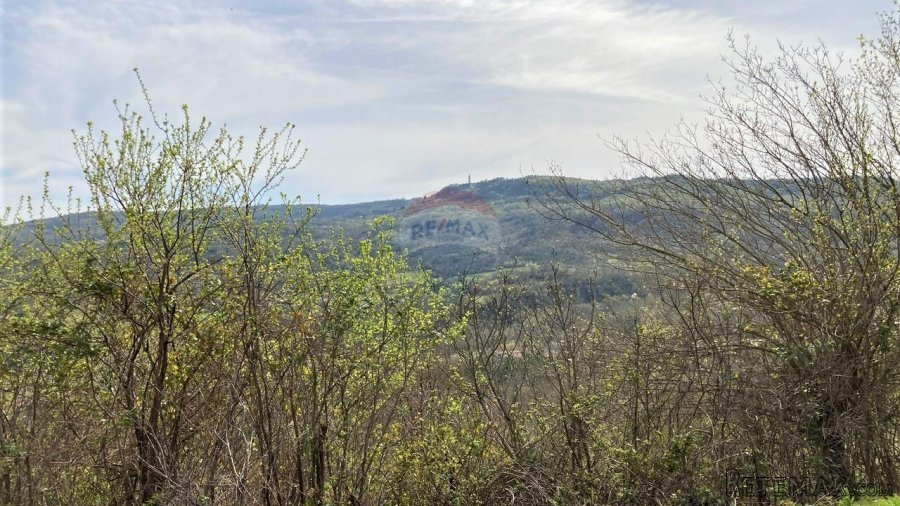 Pićan okolica, kuća s 11000 m2 okućnice - 5