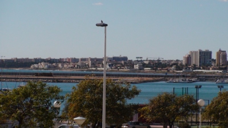 2 Bedrooms - Apartment - Alicante - For..