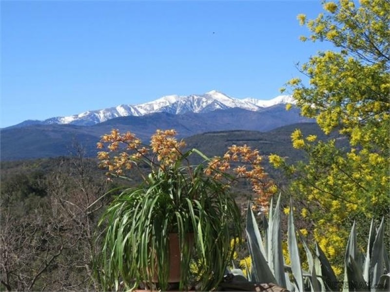 Beautiful Detached Villa With Amazing.. - 2