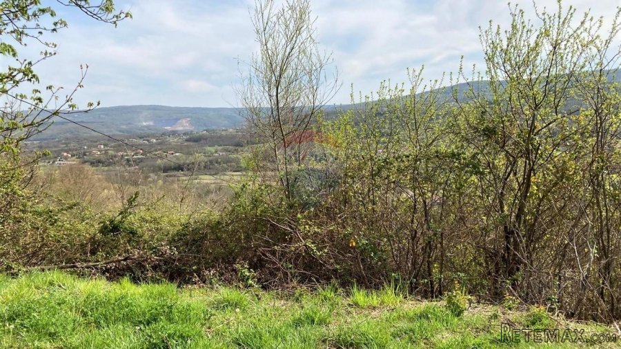Pićan okolica, kuća s 11000 m2 okućnice - 6
