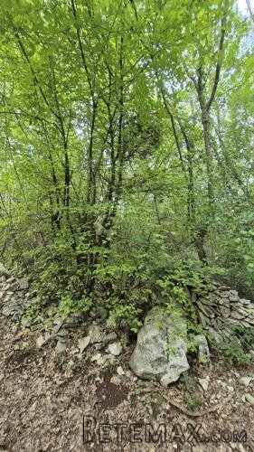 Poljoprivredno zemljište 11.980 m2, 600 m od mora
