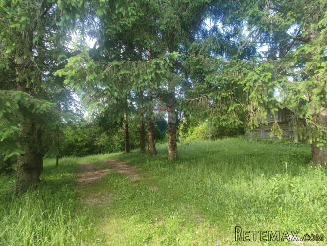 Ogulin-seosko imanje,90500 m2 okućnice - 3
