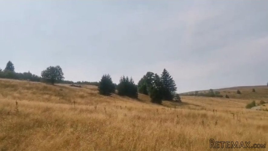 Plac na Kopaoniku-Kriva Reka - 3