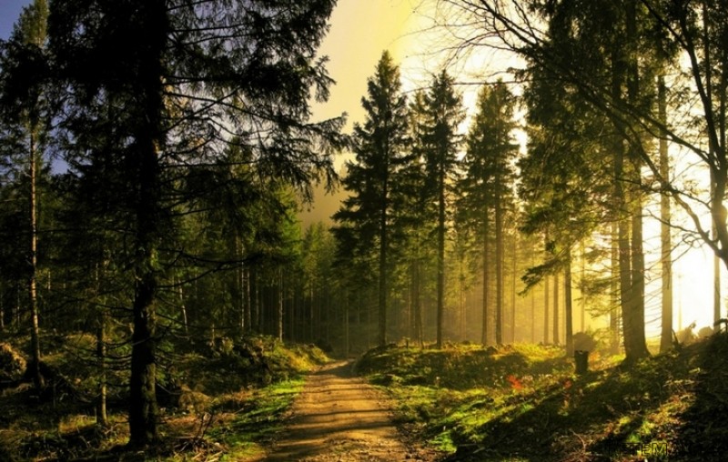Land Plot Investment Opportunity, Afan.. - 2