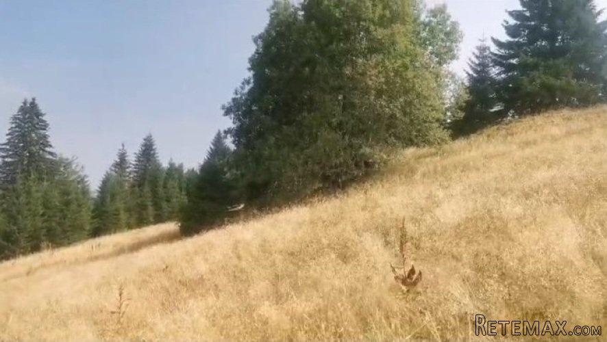 Plac na Kopaoniku-Kriva Reka - 7