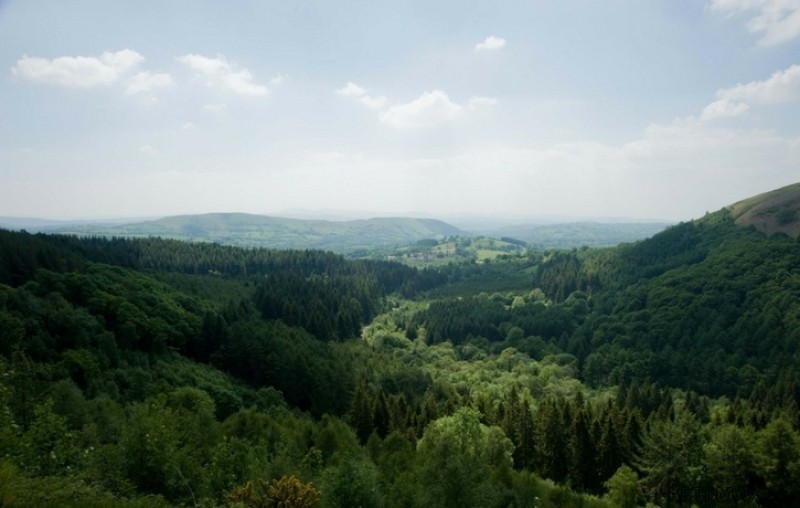 Land Plot Investment Opportunity, Afan..