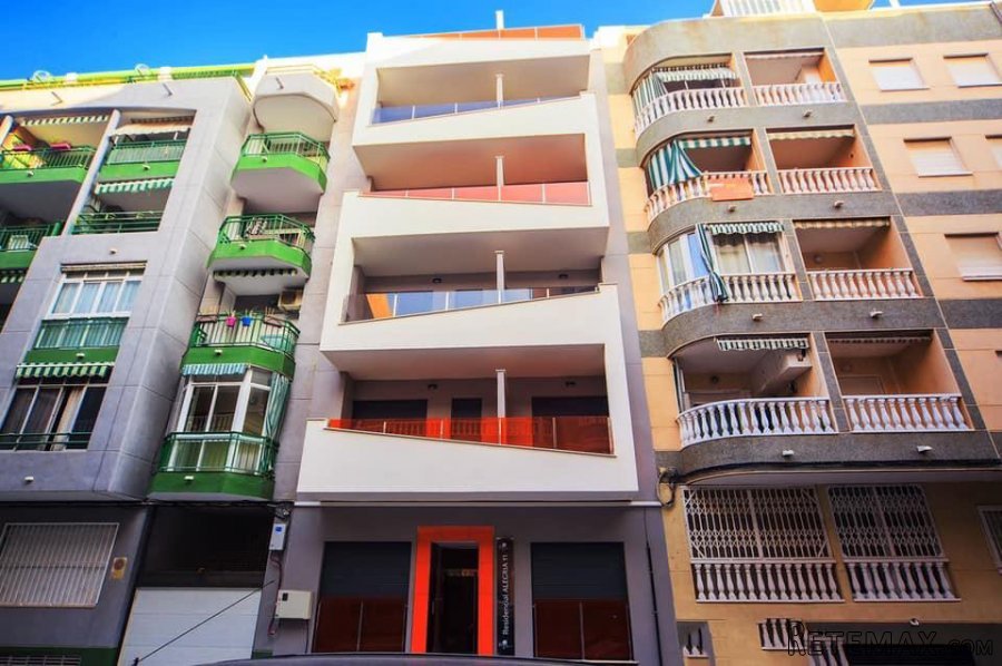 Los apartamentos se ubican en Torrevieja, muy cerca del.. - 2