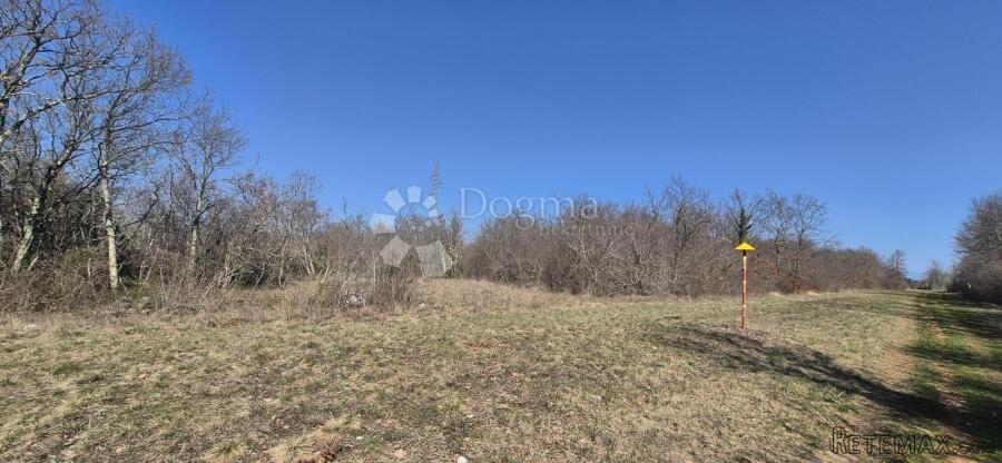 Poljoprivredno zemljište 4630 m2 - 2