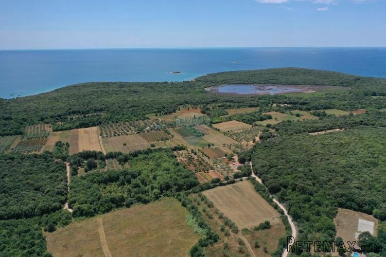 Rovinj,prekrasna poljoprivredna parcela sa ucrtanom kućom-14 - 2