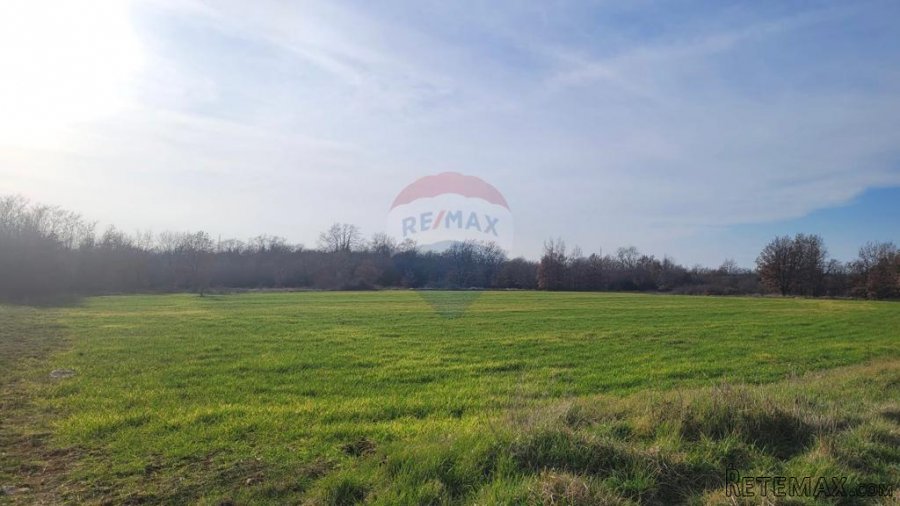 Tar, okolica - poljoprivredno zemljište uz asfaltirani put - 2