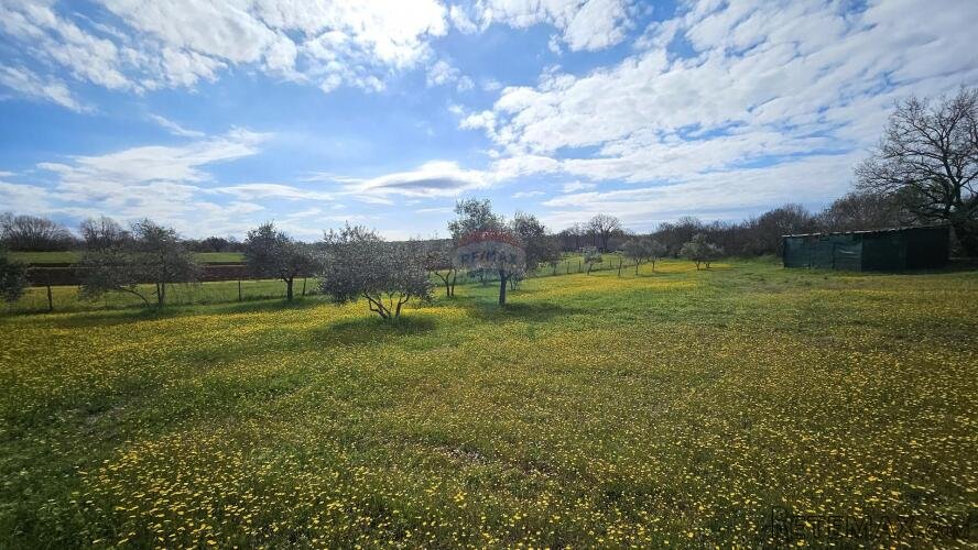 Istra, Umag okolica- građevinsko zemljište - 3