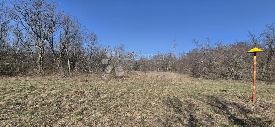 Poljoprivredno zemljište 4630 m2 - 3