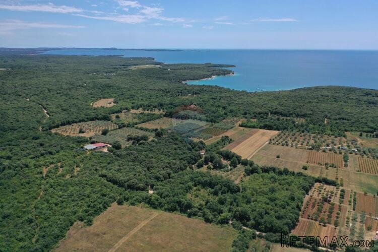 Rovinj,prekrasna poljoprivredna parcela sa ucrtanom kućom-14 - 3