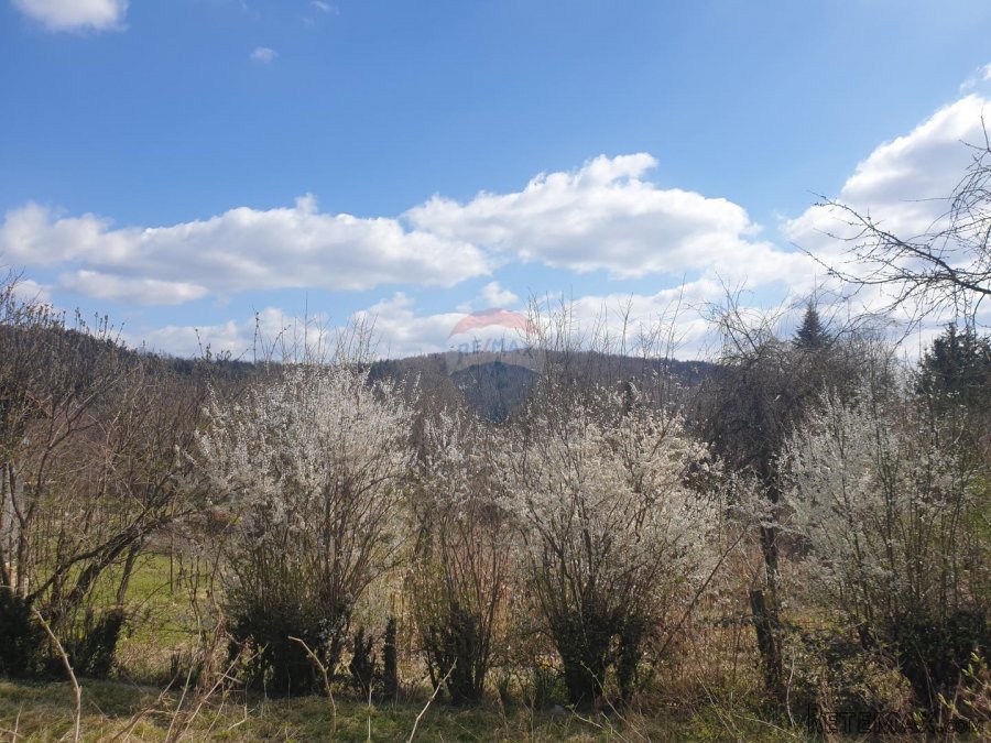 Lukovdol,kuća na kraju sela - 4