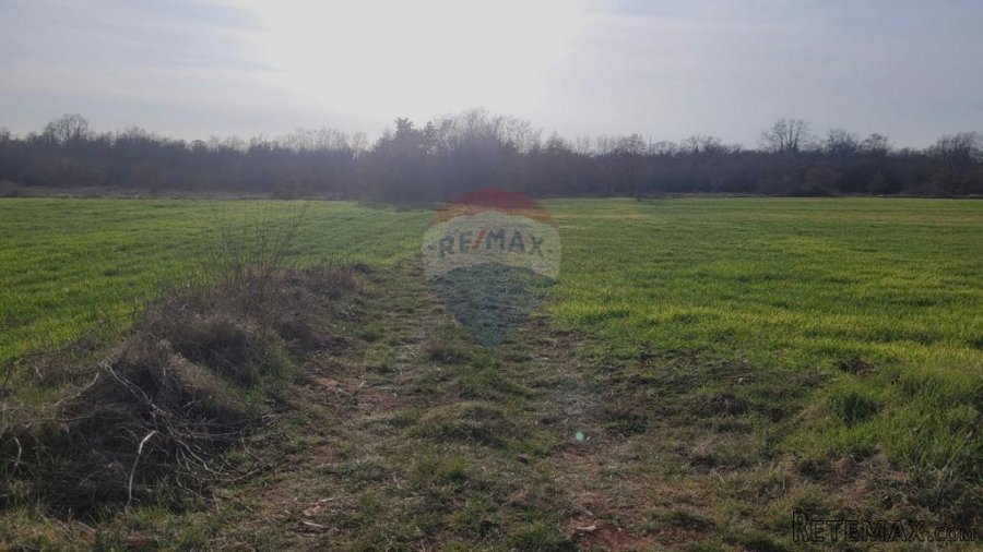 Tar, okolica - poljoprivredno zemljište uz asfaltirani put - 4