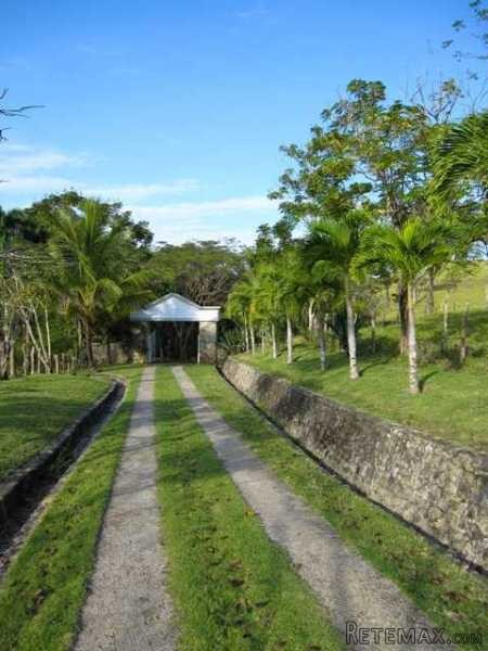 Organic Farm With A Beautiful Home
