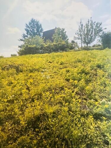Građevinsko zemljište 1297 m² u Čučerju – mir, zelenilo i bl - 3