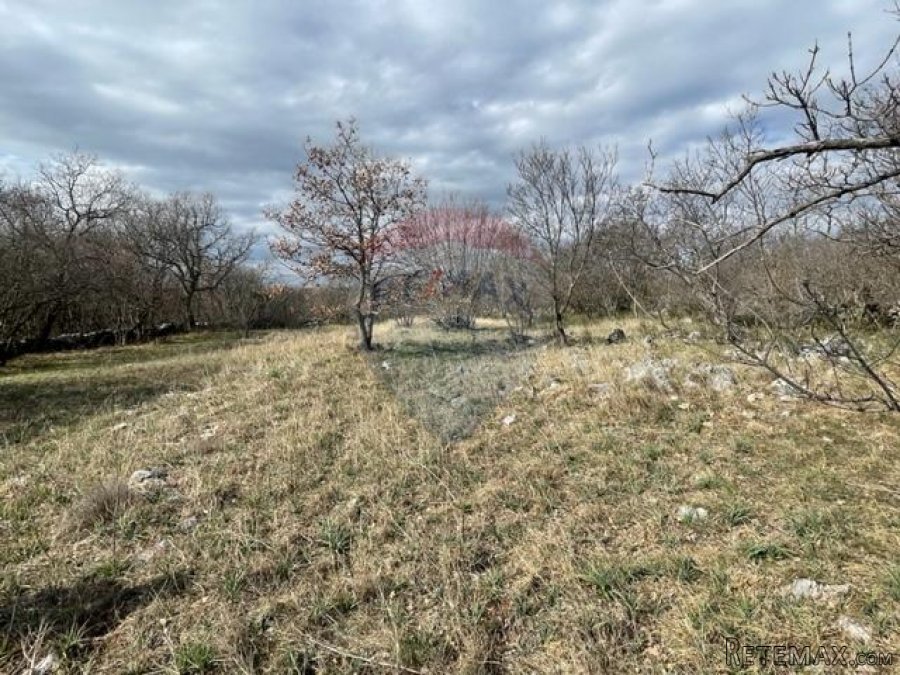 Otok Krk, Vrbnik, poljoprivredno zemljište, 2604 m2 - 8