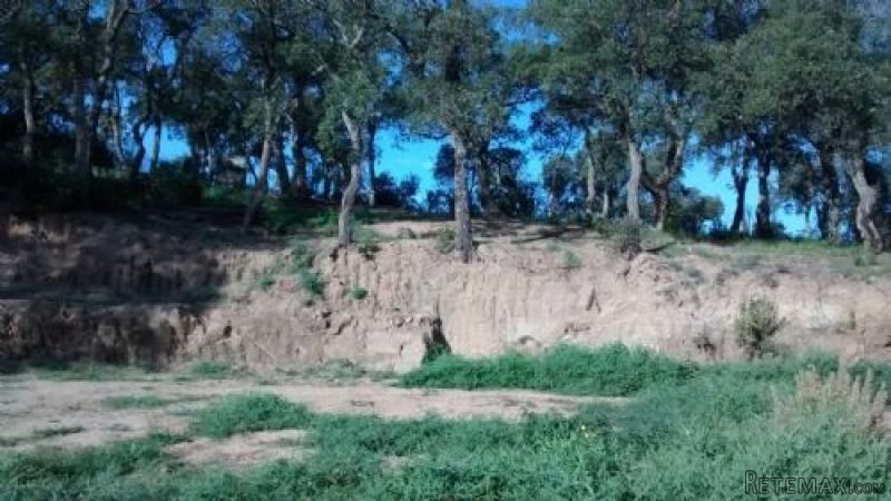 Land for sale Santa Cristina d'Aro - 2
