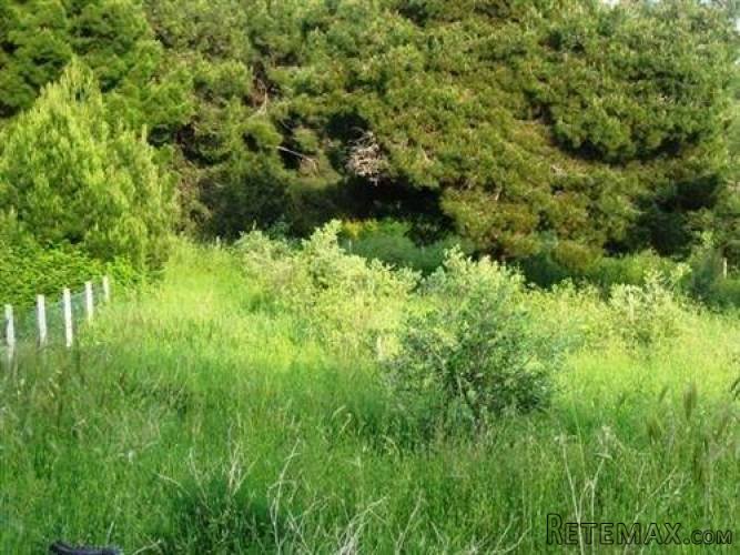 ISTRA,PREMANTURA:VIKEND ZEMLJIŠTE 100 m OD MORA - 2