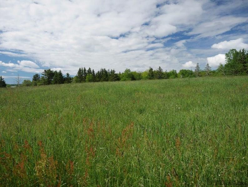 Land For Sale: 1183 Second Peninsula.. - 2