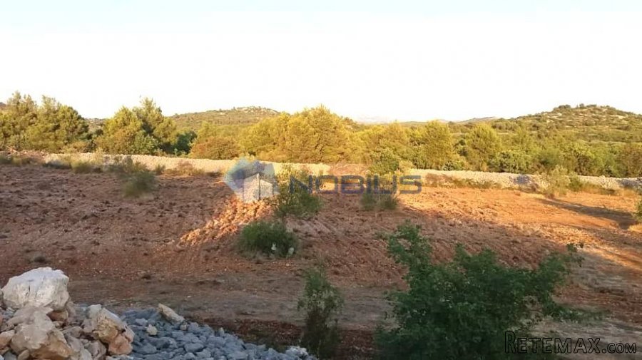 Šibenik, Vodice, građ. zemljište 15988 m2, maslinik, vl.. - 4