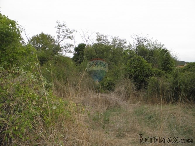 Bale, Valada-pašnjak - 3