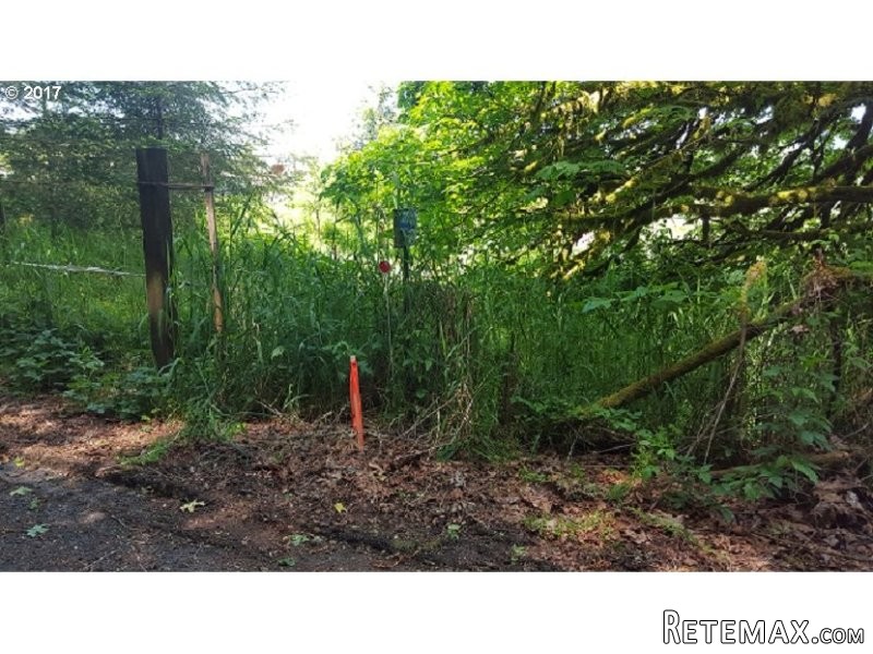 13353 Old Columbia River HWY..