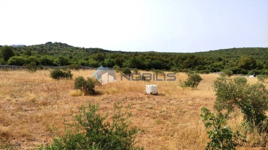Šibenik, Vodice, građ. zemljište 15988 m2, maslinik, vl.. - 9
