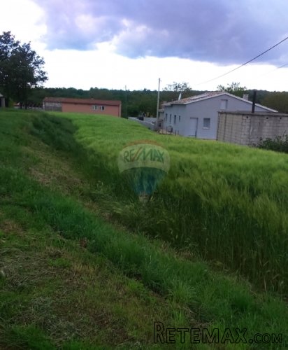 Istra, Grandići, građevinsko zemljište 1615 m2 - 2
