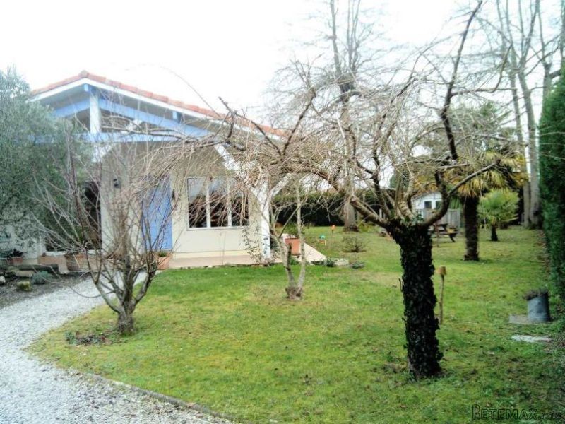 Delightful House in Great Location - 2