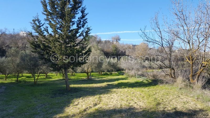 - Land - Paphos - For Sale