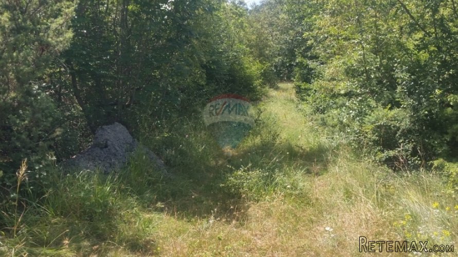VELIKO POLJOPRIVREDNO ZEMLJIŠTE NA ODLIČNOJ LOKACIJI! - 4