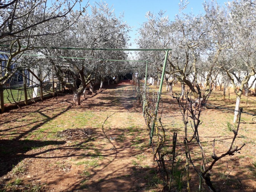 Istra,Medulin,stambeno-gospodarski objekat sa velikim tereno - 8