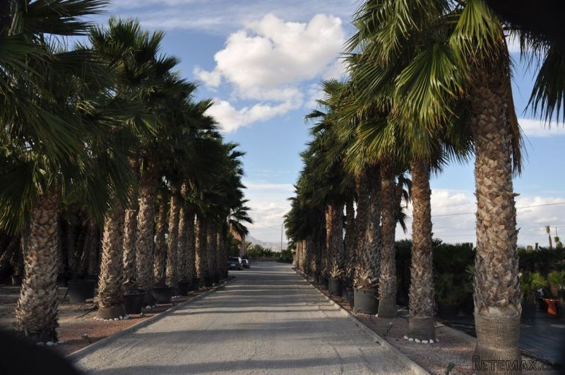10 Bedrooms - Business - Alicante - For.. - 2